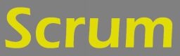 Scrum Training in Nepal