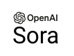 Sora Training in Nepal